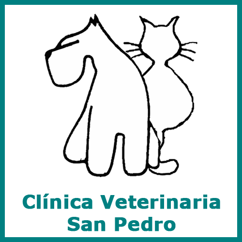 Centro-veterinario-en-León