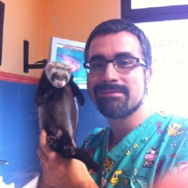 VETERINARIO EN LEÓN