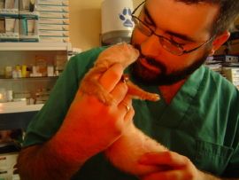 Análisis veterinarios en León