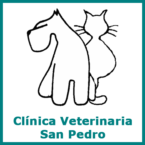 CLÍNICA VETERINARIA SAN PEDRO